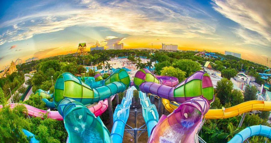 Aquatica Orlando uno de los mejores parques acuáticos del mundo