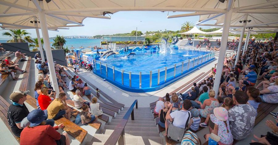 Marineland parque marino en España