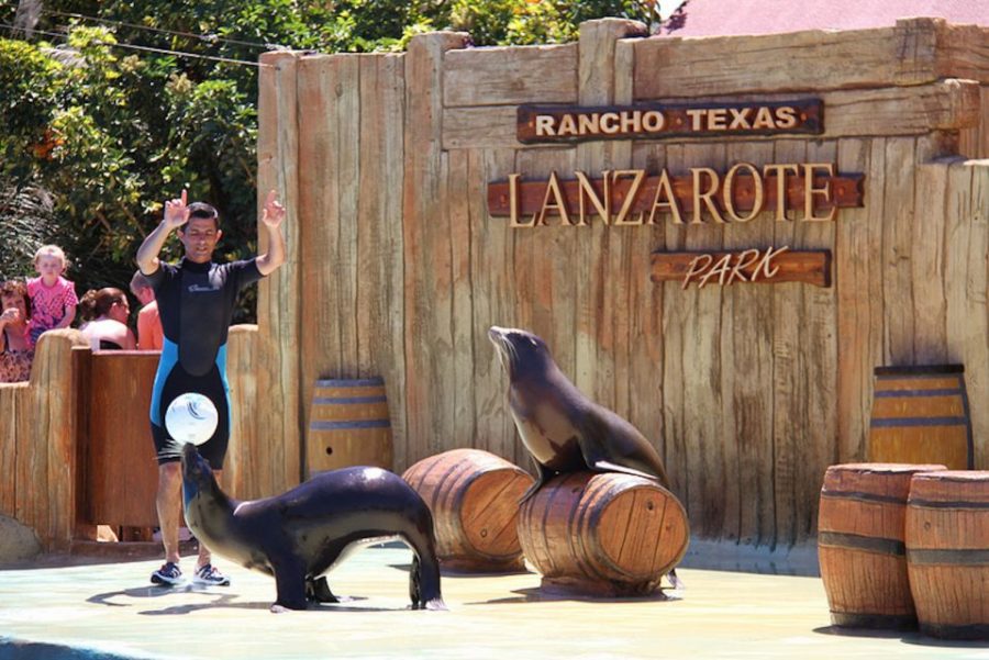 parque acuatico en Espana Rancho Texas